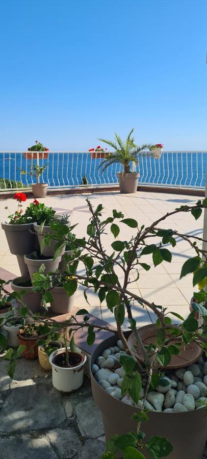 Apartments Matea Studio Apartment Stikovica Екстер'єр фото